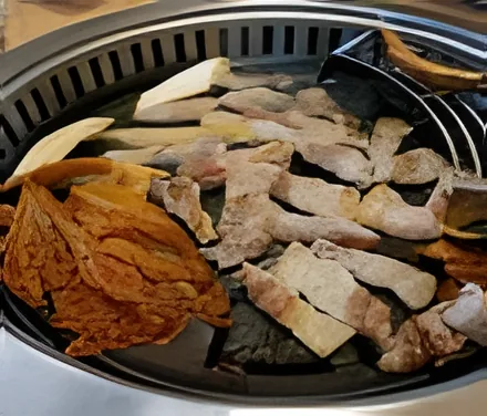 Bujajip Saenggogi