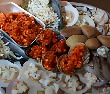 Uri Imo Jip