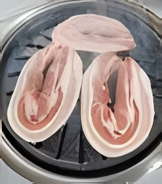 Dolsan Galbi