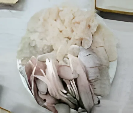 Oseobang Hoetjip