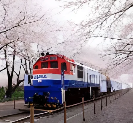 Gyeonghwa Station Railway