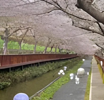Yeojwacheon Romance Bridge